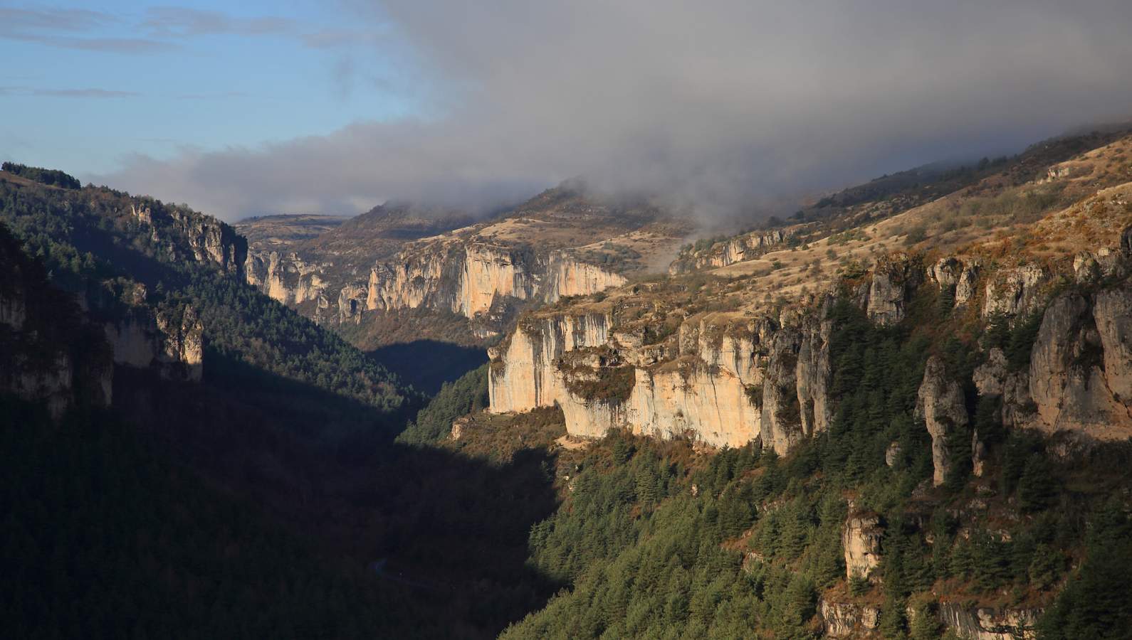 Hiking In The Jonte Gorges: Beautiful Panoramas  And Immersion Among Vultures