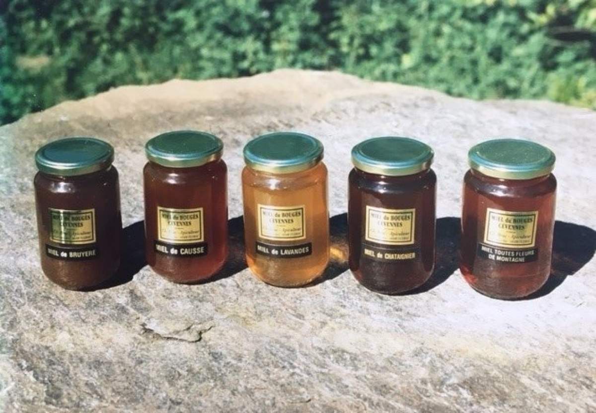 Honey from the slopes of Mont Bougès