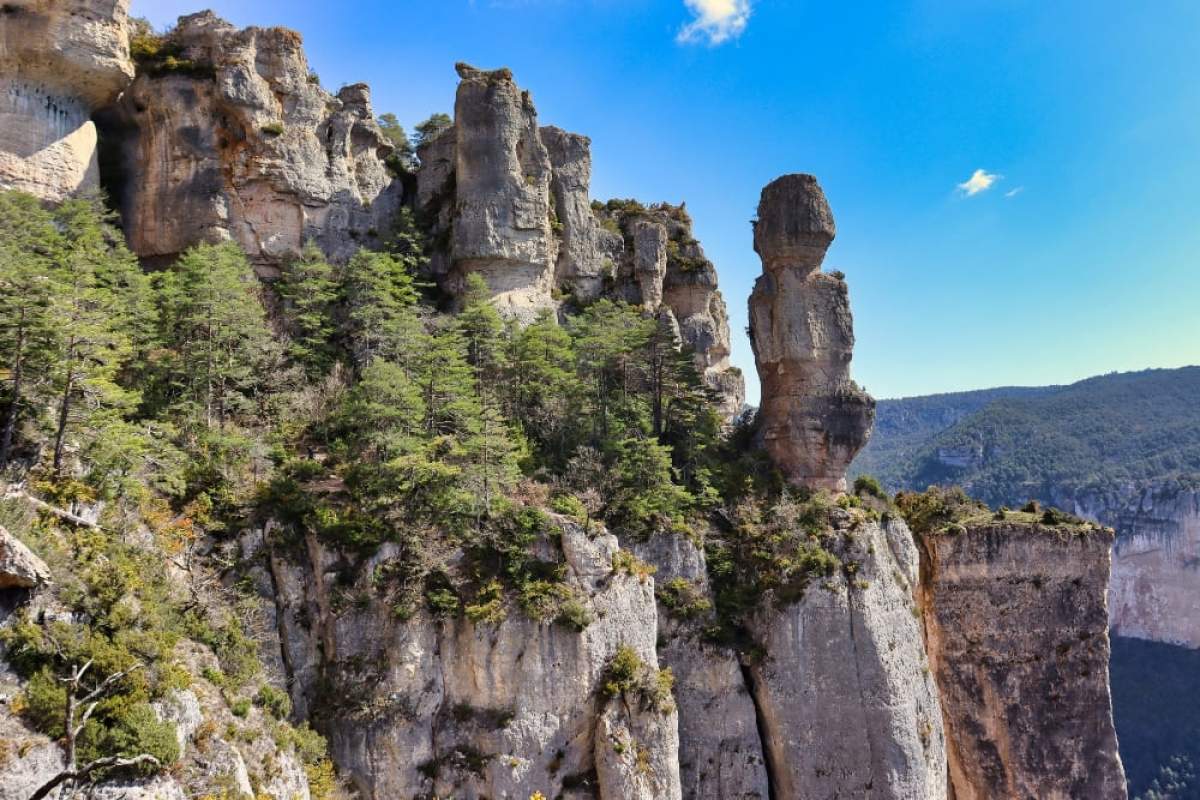 Hiking In The Jonte Gorges: Beautiful Panoramas  And Immersion Among Vultures